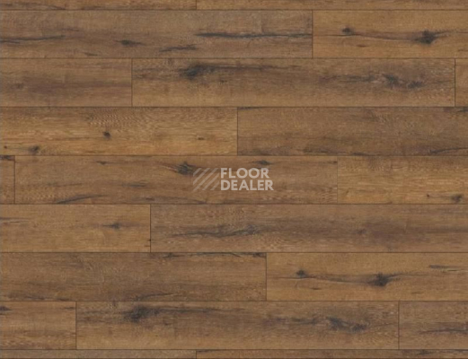 Ламинат Haro Tritty 100 4V ДУБ ИТАЛИКА ДЫМЧАТЫЙ 530327 фото 1 | FLOORDEALER